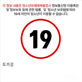 토끼걸